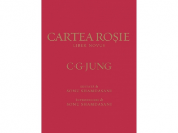 Dezbatere pornind de la Cartea Rosie de CGJung 