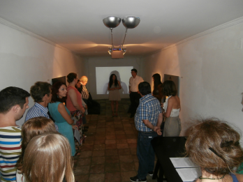 3 iulie 2013 Vernisaj expozitie Mimicry de Gabriela Stoica, Mica Galerie