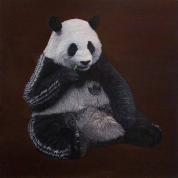 cAdrian Preda, Panda Adidas