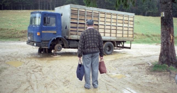 Amintiri din Epoca de Aur_Cristian Mungiu, Ioana Uricaru, Hanno Hofer, Razvan Marculescu, Constantin Popescu