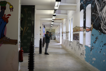 Asociatia Atelierul Wood Be Nice, proiectul Once upON the Danube