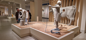 Asociatia Silver Screen_Peripatetic Connections