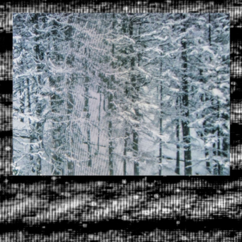 Collage, ohne Titel, aus der Serie Last Christmas (of Ceaus?escu), 2020, Anton Roland Laub