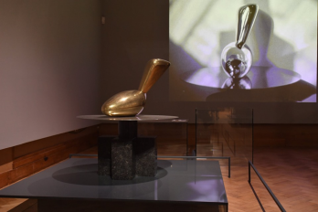 Expozitia Brancusi Sublimarea formei la BOZAR