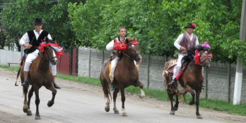 Cai si calareti, Banceni (Tinutul Herta, regiunea Cernauti, Ucraina)