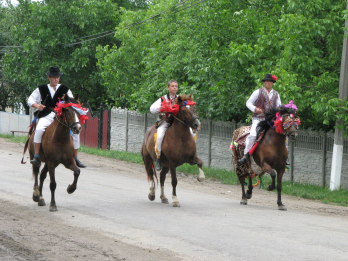 Cai si calareti, Banceni (Tinutul Herta, regiunea Cernauti, Ucraina)