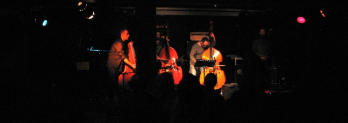 Concert - Levontin 7