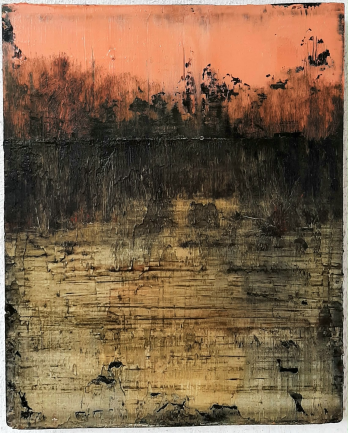 Costel Chitimus
