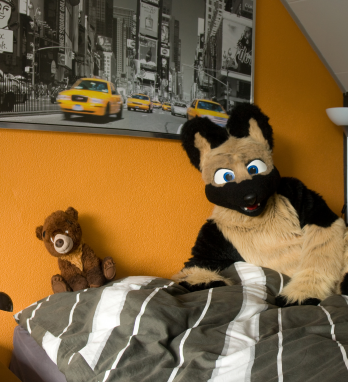 detaliu c Carmen DOBRE, Seria Furries