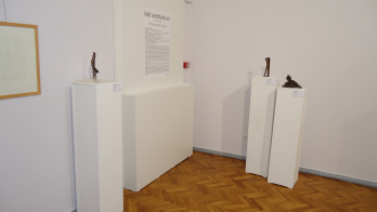 Expozitia "Idel Ianchelevici - intoarcerea acasa" la Chisinau