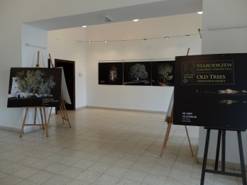 Expozitia de fotografie Arbori batrani, de Florin Ghenade