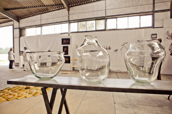 Expozitie \