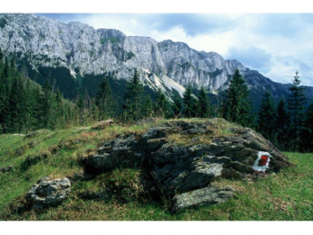 FOTOGRAFIE  Muntii Romaniei si Delta Dunarii, fotograf Martin Krajicek