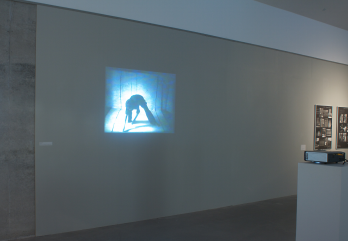 Geta Bratescu Studio, 1978