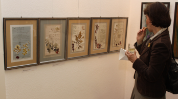 ICR Budapesta verniseaza expozitia de pictura Lumea, un loc minunat