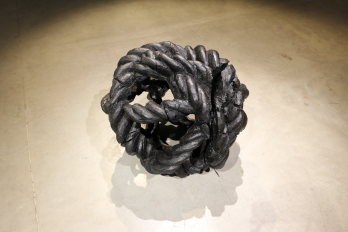 Lucrarea La corde de Mircea Cantor