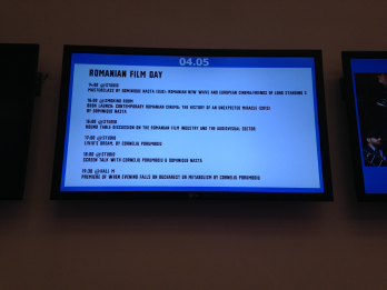 Grigore Lese si aromanii farseroti la Balkan Trafic - (C) ICR Bruxelles - 2