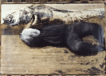 Iosif Kiraly, Sans titre 1990