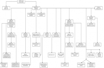 Organigrama ICR