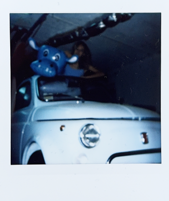 Paun C Ioana PFA, proiectului  All systems collapse tonight