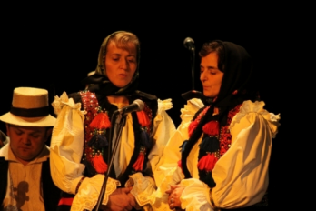 Premiile de excelenta 2010