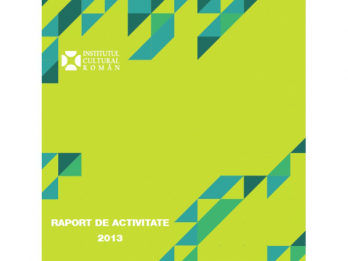 RAPORT DE ACTIVITATE 2013