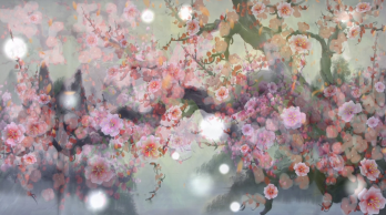 copyright Nicole Cohen