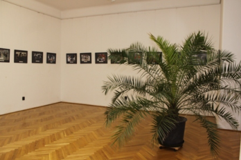 Traditii populare, expozitia artistilor fotografi din Romania si Ungaria