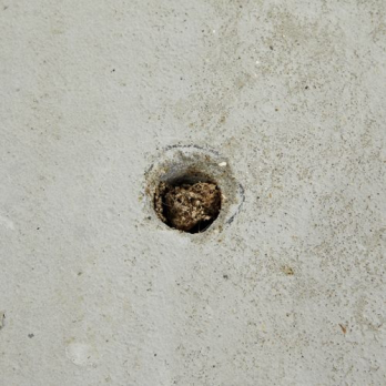 Victor Man - Untitled (model with bird waste for how to split ideals and walls)