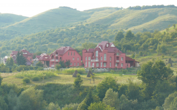 Vile goale in Apsa de Jos (cu proprietarii la munca in Novosibirsk) (nordul Maramuresului, regiunea Transcarpatia, Ucraina)