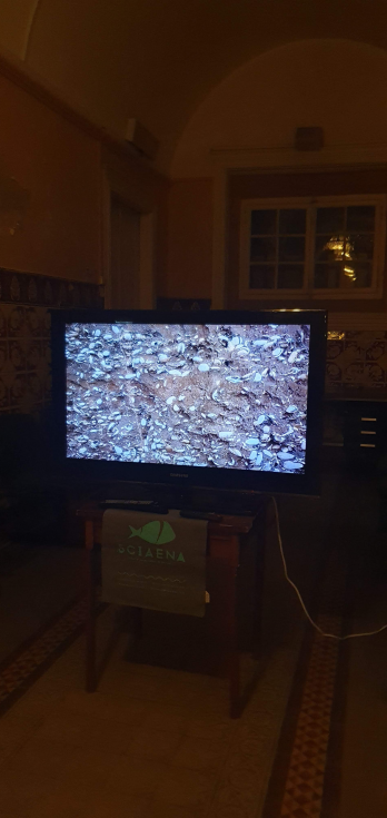 WASP STUDIOS_Humans' shared space the waters